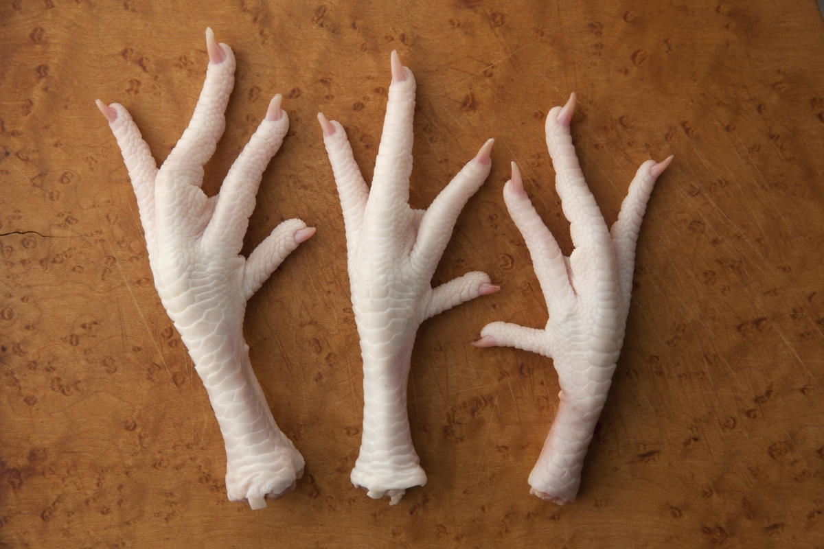 Alimentação Rica em Colágeno: O Que Comer?