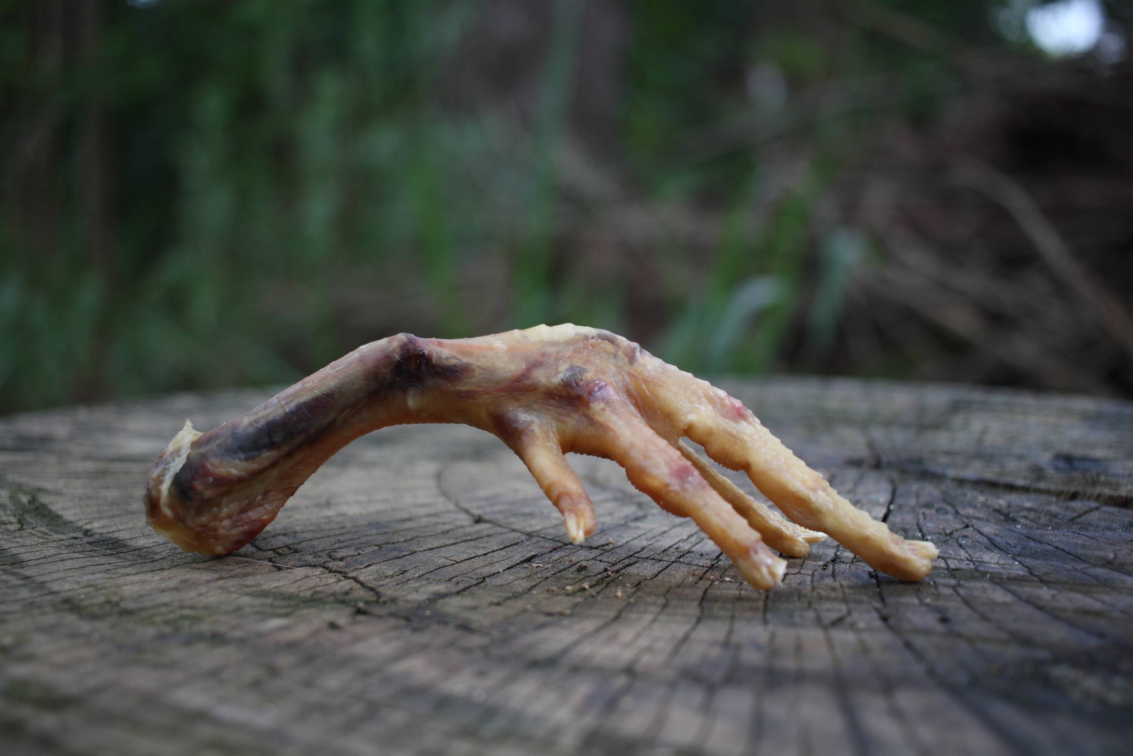 Como o Botox Age nas Rugas de Expressão