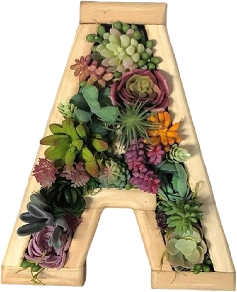 acácia vs alamanda qual escolher