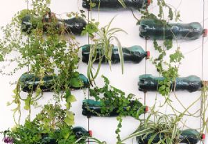Guia Completo: Como Montar Sua Horta Vertical com Garrafas PET