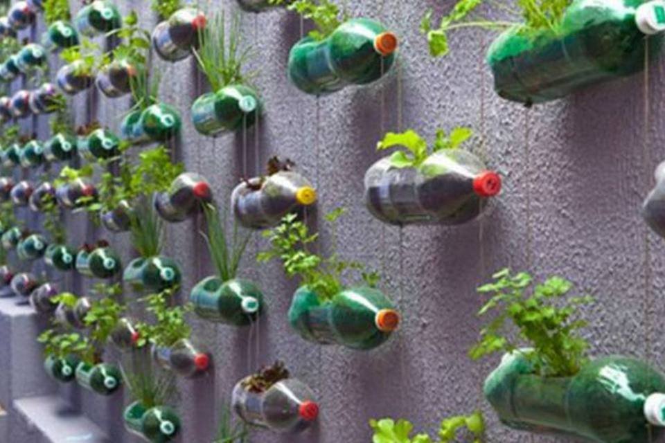 Drenagem e Substrato: Segredos para o Sucesso da Sua Horta em PET