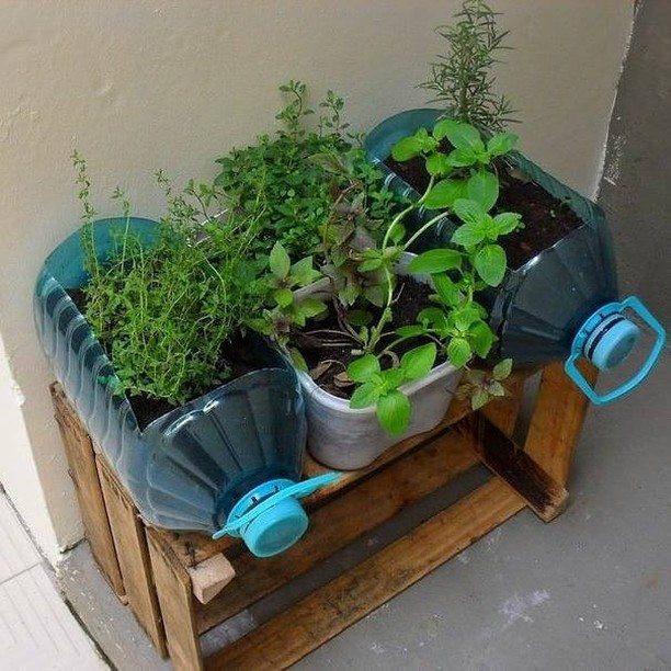 Transforme Lixo em Luxo: Ideias Criativas para Horta Suspensa com PET