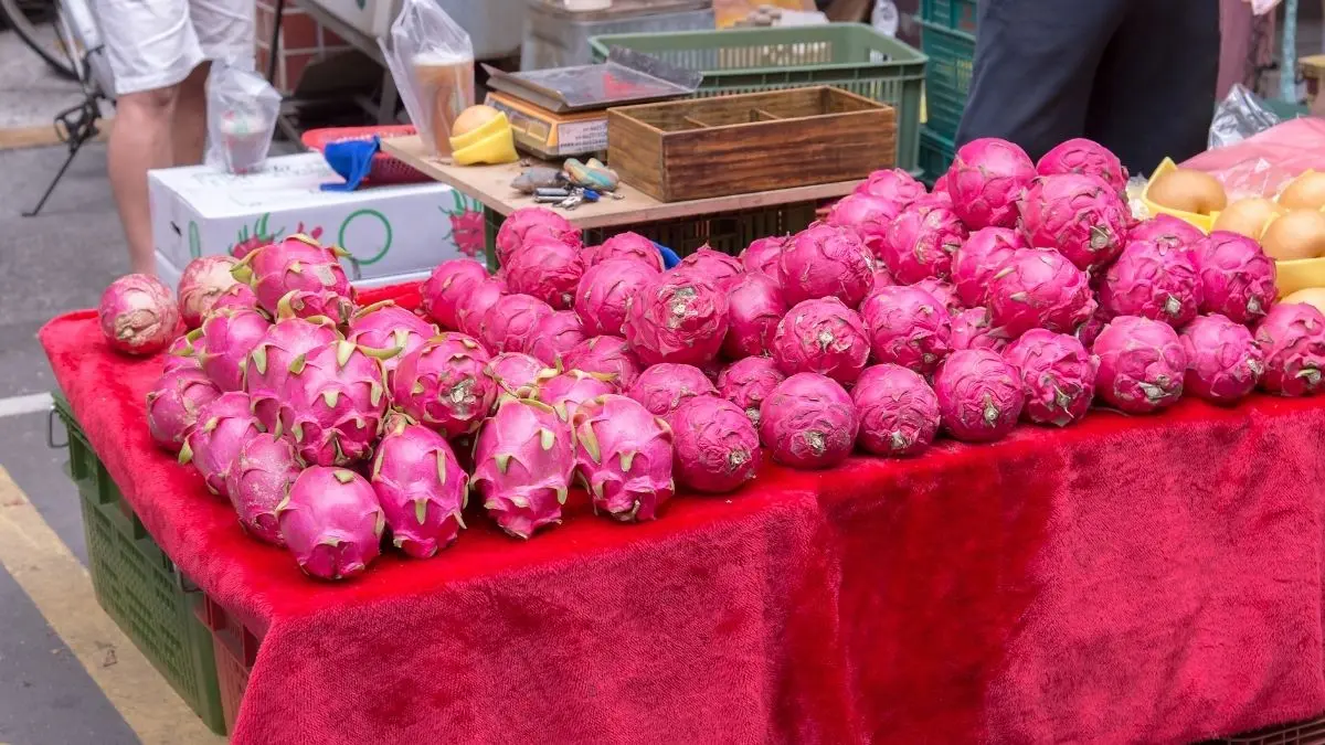 melhores lugares para comprar pitaya com desconto