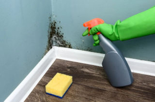 melhores dicas para acabar com mofo na parede