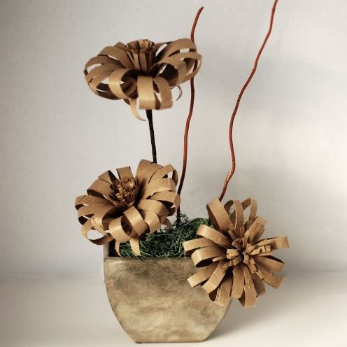 O Segredo da Geladeira: Como Rolos de Papel Higiênico Combatem Odores e Umidade