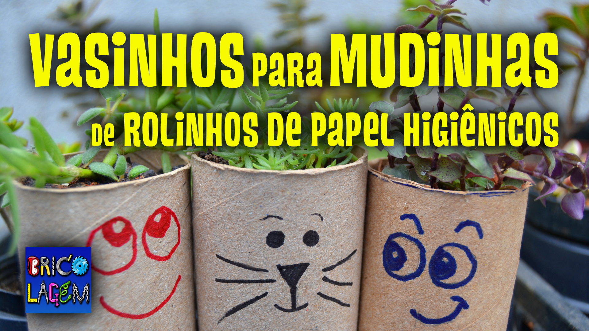 Transforme sua Casa: Ideias de Organização com Rolos de Papel Higiênico