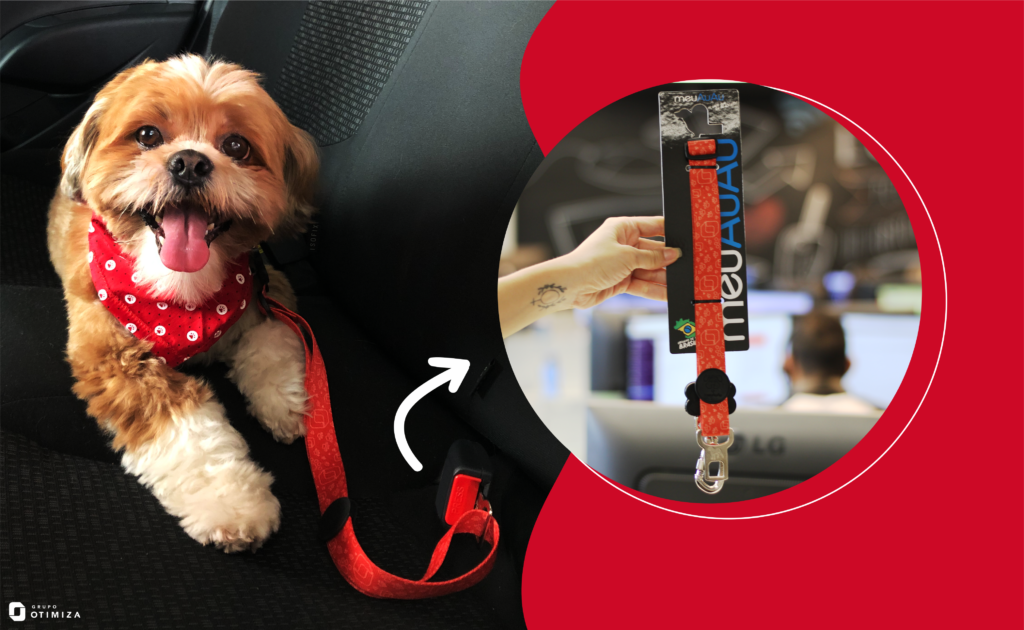 Guia completo de segurança para transportar cães no carro