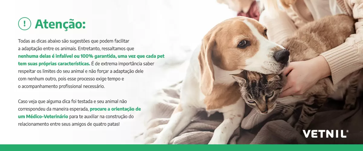 seguranca para animais de estimacao