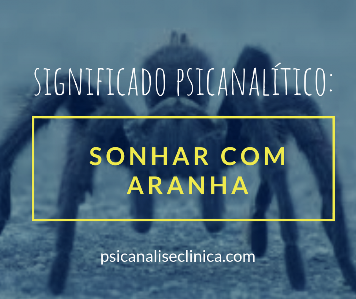 sonhar com aranha e ter sorte