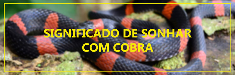Inveja ou um Aviso?
5. Entenda o Que Seu Subconsciente Diz ao Sonhar com Cobra Atacando