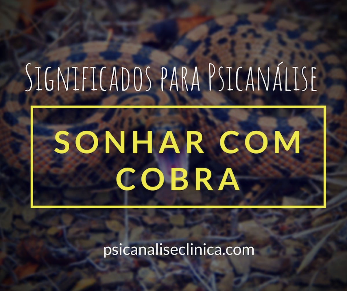 sonhar com cobra brigando