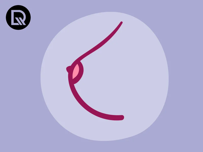 C e D
3. Medidas Essenciais: Aprenda a Tirar as Medidas Corretas para o Sutiã Perfeito
4. Formatos de Seios: Qual o Melhor Sutiã para Cada Tipo?
5. Tabela de Tamanhos de Sutiã: Um Guia Prático para Todas as Marcas