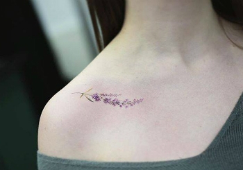 tatuagem feminina ombro borboleta