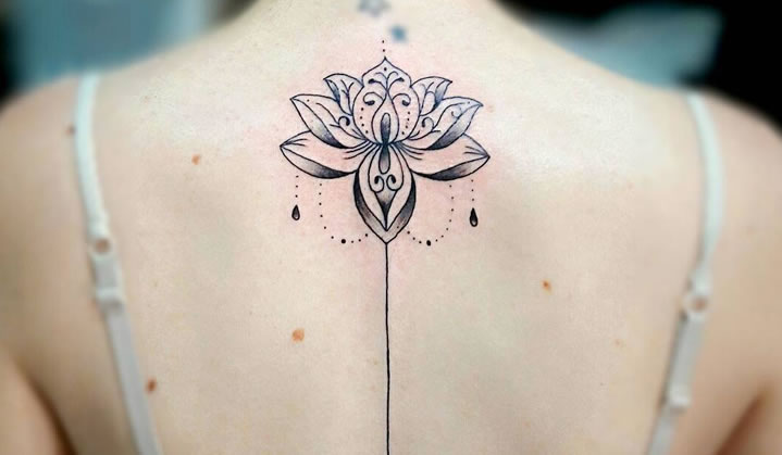 tatuagem de fênix nas costas significado