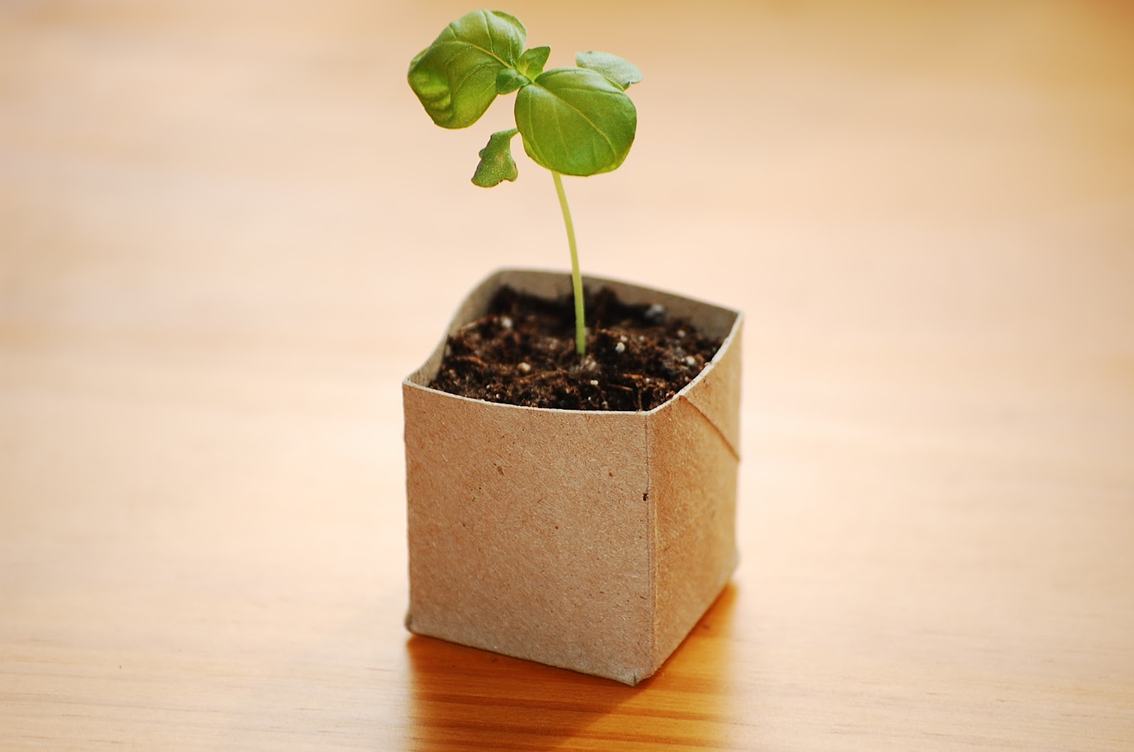 Artesanato com Rolos de Papel: Ideias para Vender e Lucrar