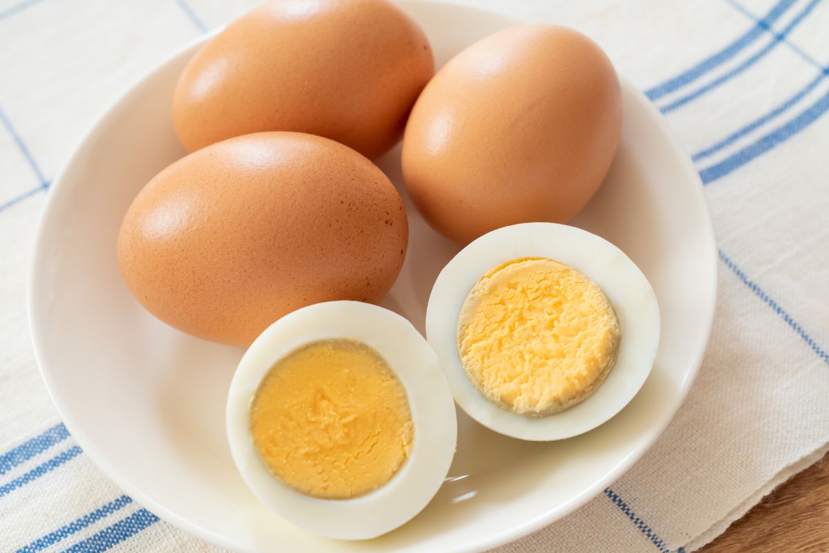 5 ideias de títulos:
1. O Segredo Revelado: Descasque Ovos Cozidos em Segundos!
2. Diga Adeus à Frustração: Técnicas Infalíveis para Ovos Perfeitos.
3. Cozimento e Descascamento: A Dupla Perfeita para Seus Ovos.
4. Truques de Chef: Como Descascar Ovos Cozidos Como um Profissional.
5. Ovos Cozidos Sem Drama: Métodos Simples e Eficazes.