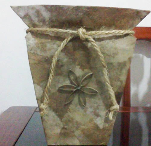 Quais Plantas Cultivar em Vasos Feitos de Caixa de Leite?