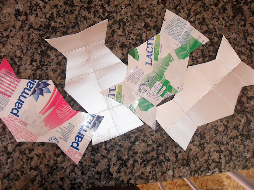 Guia Completo: Como Fazer Vasos de Cimento com Caixa de Leite