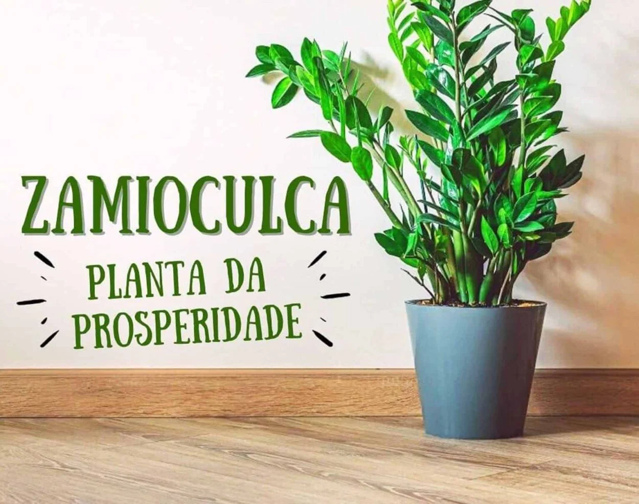 zamioculca no banheiro