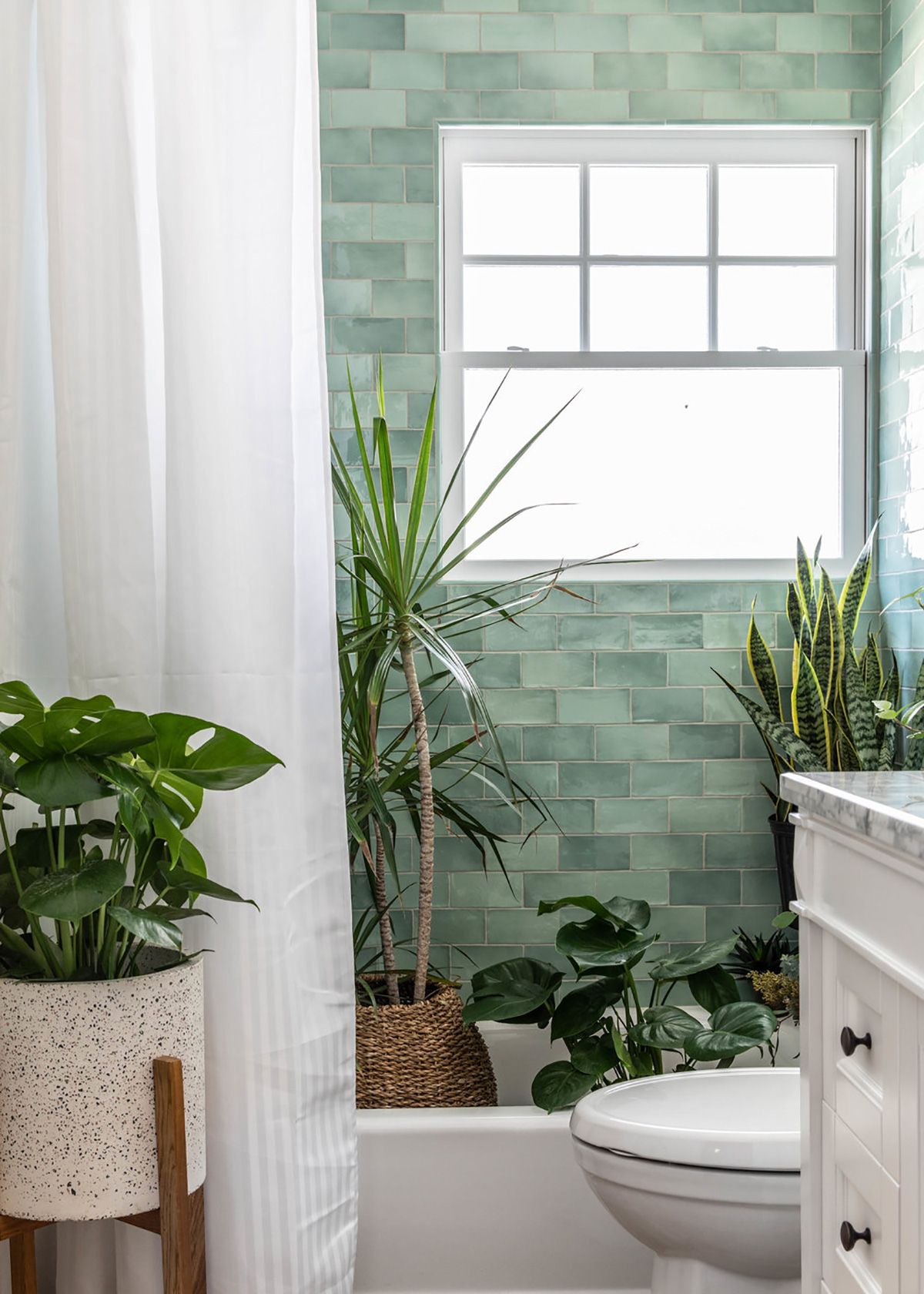 5 ideias de títulos:
1. Zamioculca no Banheiro: A Planta Perfeita para Ambientes com Pouca Luz
2. Descubra os Benefícios da Zamioculca para o seu Banheiro
3. Feng Shui no Banheiro: A Zamioculca e seus Significados
4. Guia Completo: Como Cuidar da Zamioculca no Banheiro
5. Zamioculca: A Planta 